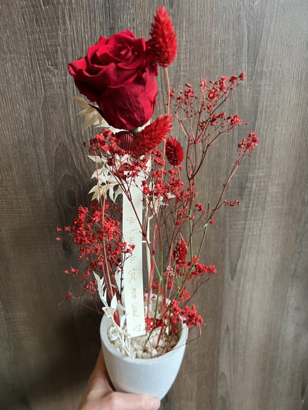 Arrangement avec 1rose éternelle rouge