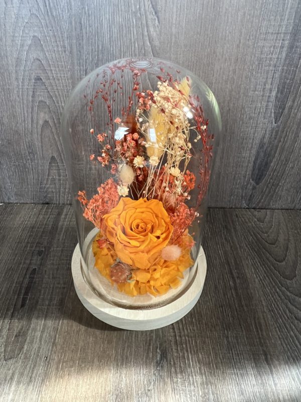 Cloche avec une rose éternelle orange clair et fleurs assorties ( taille L)