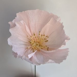 Inscription à l’atelier créatif du 22.06.2026  Fleur éternelle en papier  "un pavot "