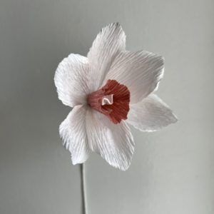 Inscription à l’atelier créatif du 28.04.2026  Fleur éternelle en papier  "une jonquille "