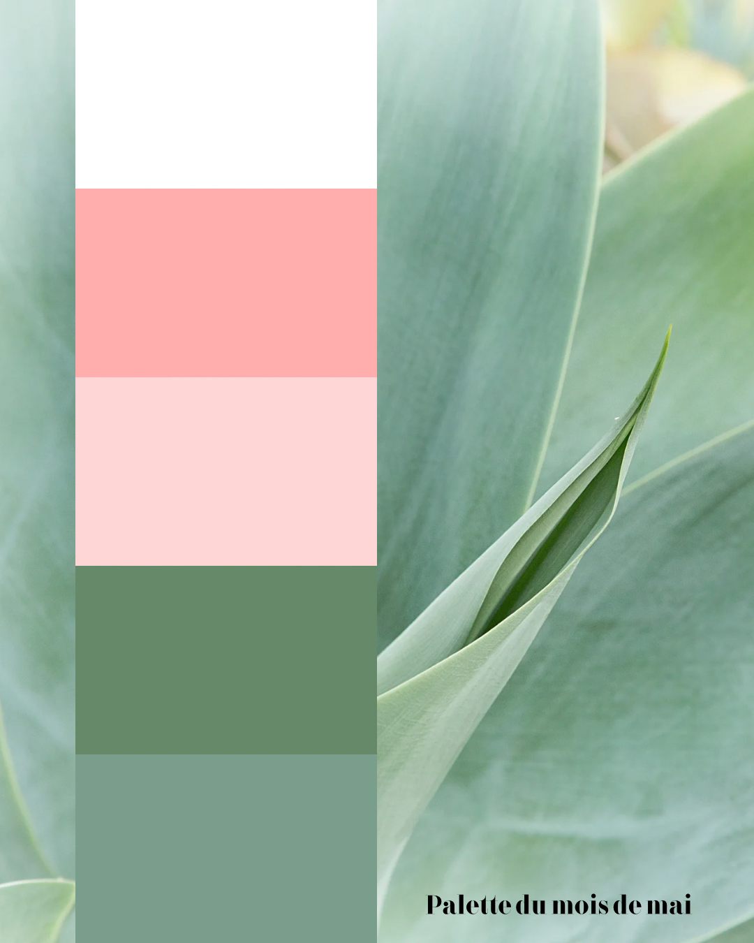 "Bouquet du mois de mai " dans les tons pastels: rose, menthe et blanc ( disponible les 7 et 8 mai 2026 uniquement)